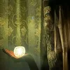 sabikunnahar101