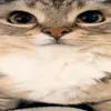 metalli_c