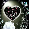 s_j_akhi