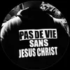 theo.mvl0