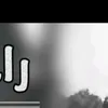 dreame533