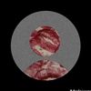 adriv.017