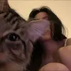 kittieshey