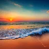 lory_65c