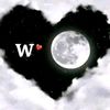 wwwwiwi.com3