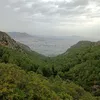 omarbarcelonaakar
