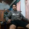 bunglon3178