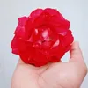 tahasurchy483