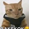 klp48kelaparan48hari