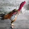 huuduyenlc