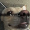 adrianx.clipz