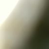 so000033