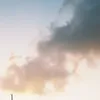 arienve7