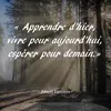 lefassoisenfrance