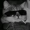 deaqestina_