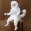 wolfgher
