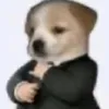 cachorro_de.terno