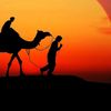 abdullah.alharbi02