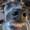 booderdood3r