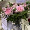 orchid0564