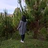 thaly_lr