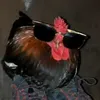 gallito_lillie