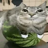 nutela_com_pao