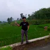 halwiahmads