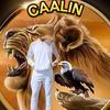 Caalin