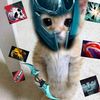 ezzlucio2