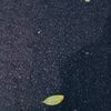 A.