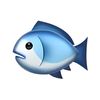 justfish440