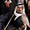 dy6qlsbhzybn