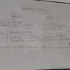 ano_seco9