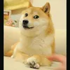 sbeiendnkeel