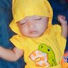 afkar4422