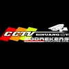 cctv_binuang_oyii