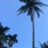 saremahsongkhla