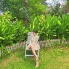 ng.ngc.anh.th82