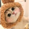 kakeeda