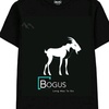 bogus243