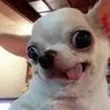 dailyeog