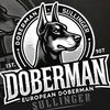 sullyeuropeandobermans