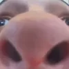 meme.hubl