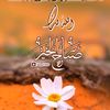 dycpn5e9nuya