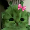 estranha_243009
