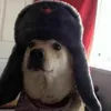 umdoenteqqr