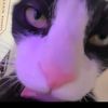 .whatitis