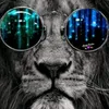 alexpires547