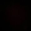 ripal_448